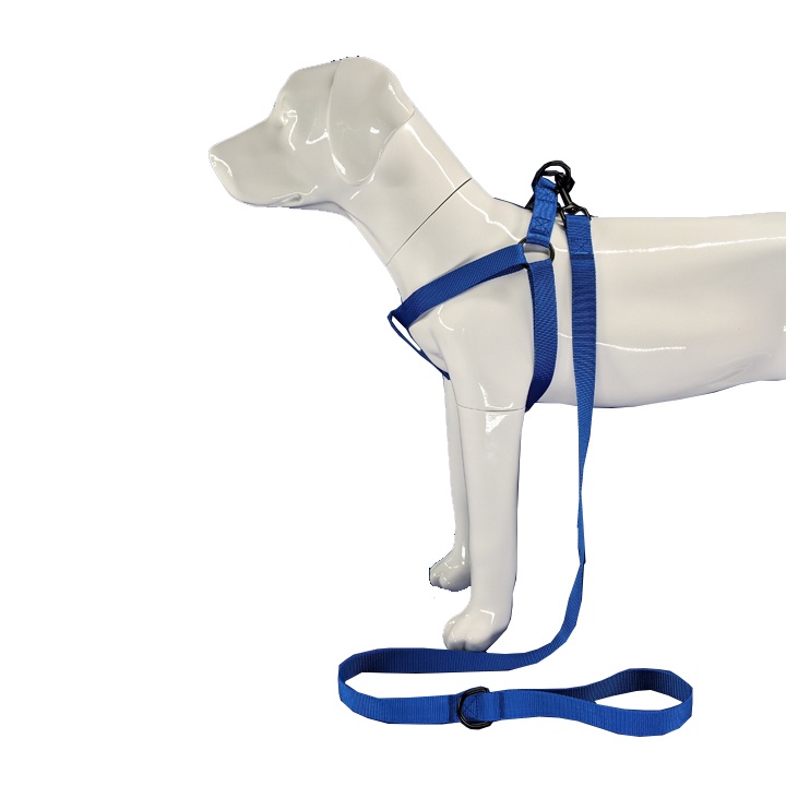 Royal blue nylon dog harness