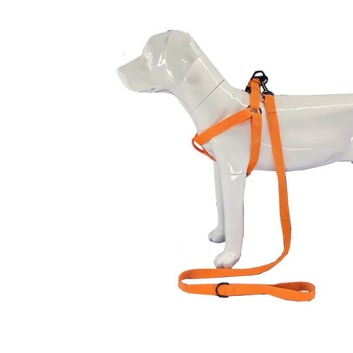 Orange nylon dog harness