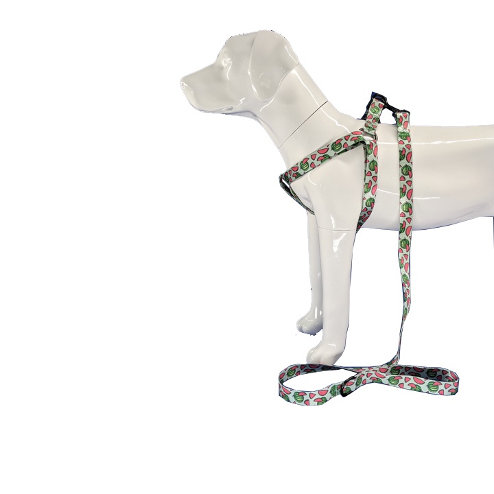 Design printed dog harness