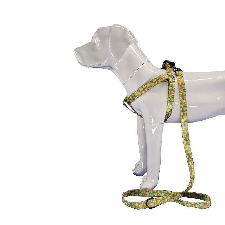 Rubber duck dog harness