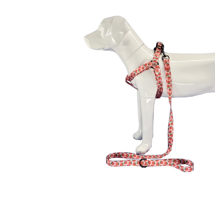 Strawberry dog harness