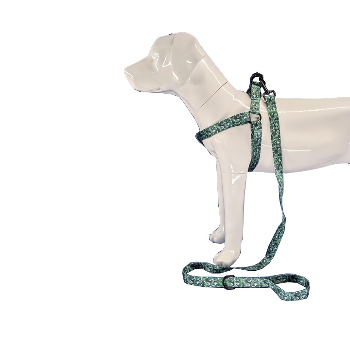 Tropical dog harness