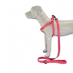 Hot pink dog harness set