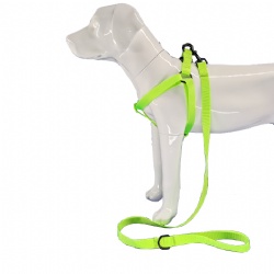 Fluorescent green dog harness