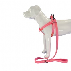Reflective nylon dog harness