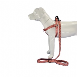 Nylon step in dog harness