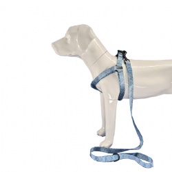Outdoor dog harness