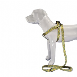 Rubber duck dog harness